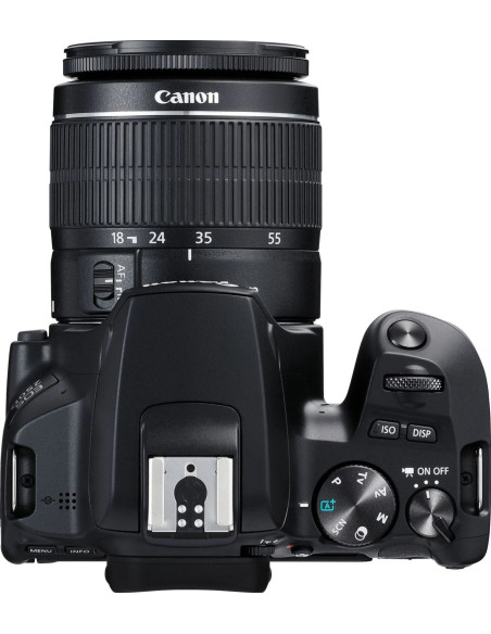 EOS 250D + EF-S DC 18-55mm f/3.5-5.6 III